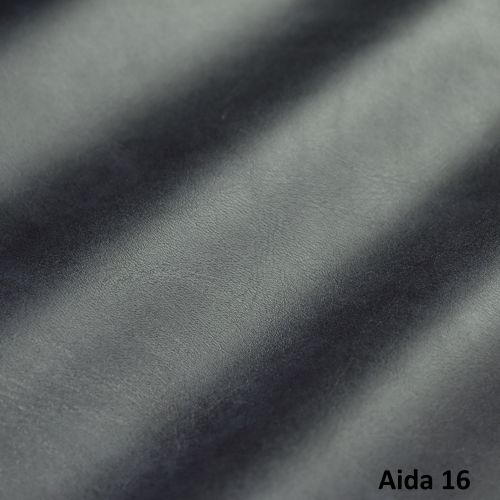 Aida 16